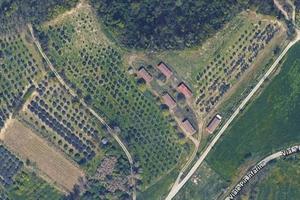 Immobile in asta di 10679 m² a Moncalvo