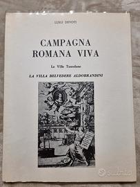 Campagna Romana Viva Devoti copia n.80