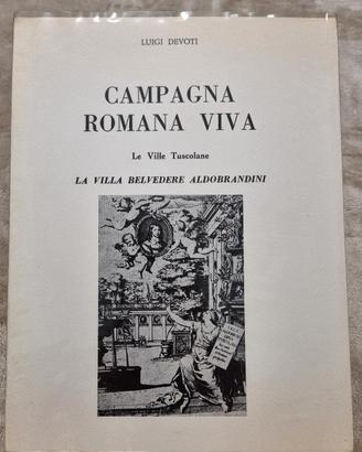 Campagna Romana Viva Devoti copia n.80