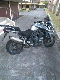 Tiger 1200 XC Explorer