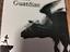 Immagine 3