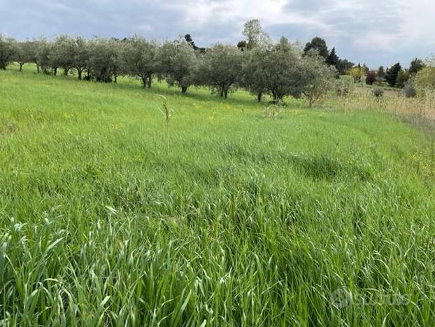 Terreno agricolo a Misano Adriatico