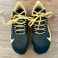 Scarpe Nike Air zoom Pegasus 37 taglia 42