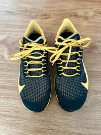 Scarpe Nike Air zoom Pegasus 37 taglia 42