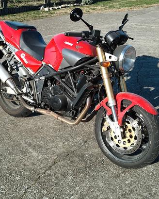 Laverda ghost
