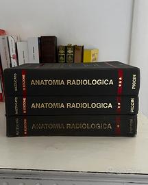 MAZZUCATO - Anatomia Radiologica