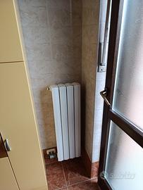 Termosifone in ghisa a 4 elementi 