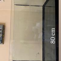 Acquario con accessori