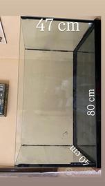 Acquario con accessori