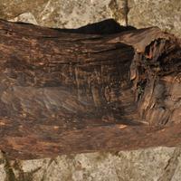 Legno duro e scuro di origine africana