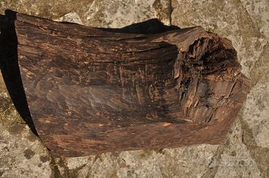 Legno duro e scuro di origine africana