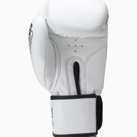 Guanti Boxe Sting Orion – Pro Quality