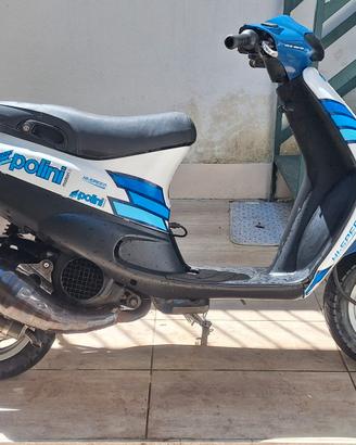 Zip piaggio motorizzato 125 skipper