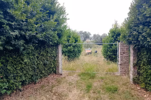 Terreno agricolo Luni Mare (SP)
