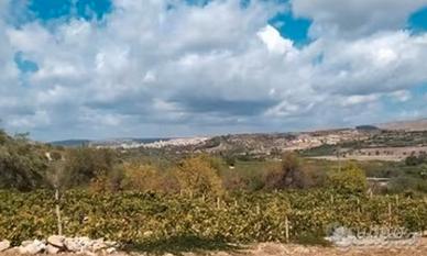 Terreno agricolo con unità collabente