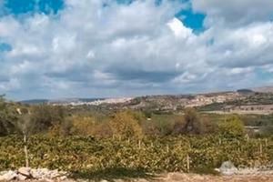 Terreno agricolo con unità collabente