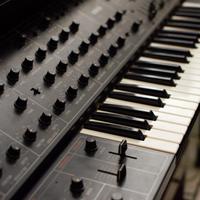 Yamaha CS 30