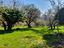 Immagine 25
