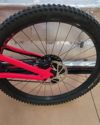 specializer full optional nuova