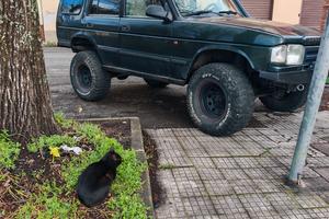 Land Rover Discovery 300 7 posti