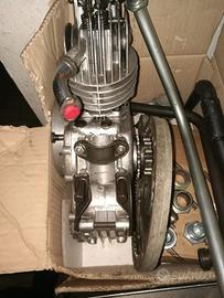 Ducati Cucciolo 48- T2 Nuovo