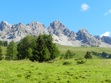 Vacanza in montagna, vicinissimo piste sci