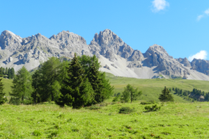 Vacanza in montagna, vicinissimo piste sci