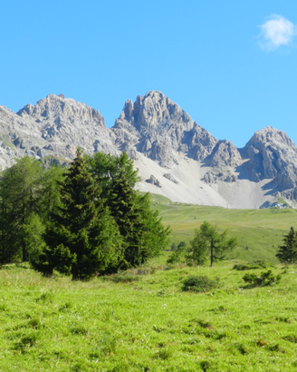 Vacanza in montagna, vicinissimo piste sci
