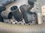 Immagine 4