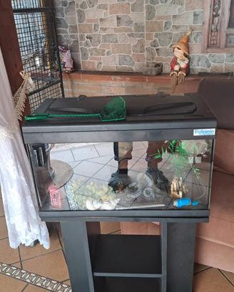 acquario completo