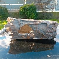 Tronco acquario resina