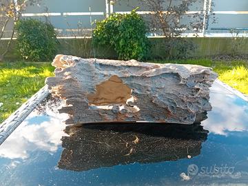 Tronco acquario resina