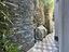 Immagine 26