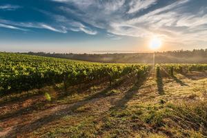 Terreno a Canosa di Puglia - Zona Bagnoli
