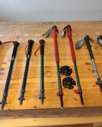 Set Bastoni per camminata