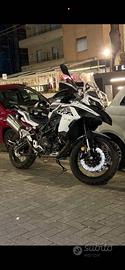 Benelli trk502x