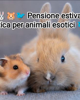 Conigli, uccelli, criceti e porcellini d'india
