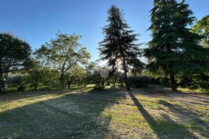 TER. AGRICOLO A BOLOGNA
