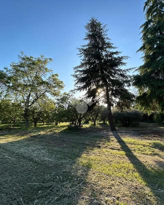 TER. AGRICOLO A BOLOGNA