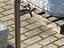Immagine 22