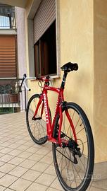 Bicicletta PINARELLO TAGLIA 53