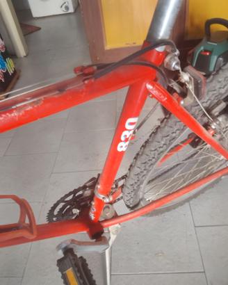 Mtb bici