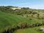 Immagine 21