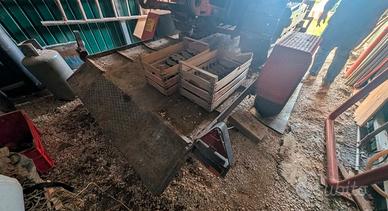 carrellone omologato