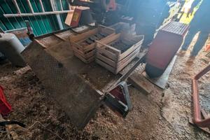 carrellone omologato