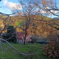 Area edificabile di circa 1000 mq