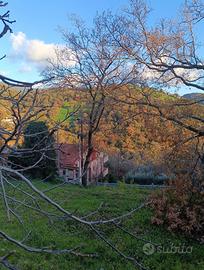 Area edificabile di circa 1000 mq