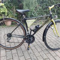 Bianchi Spillo 747 Giallo/Nera