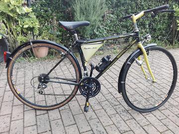 Bianchi Spillo 747 Giallo/Nera