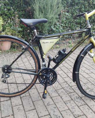 Bianchi Spillo 747 Giallo/Nera